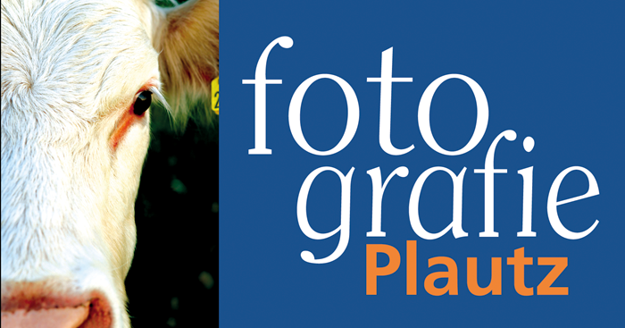 Hochzeitsfotografie Plautz